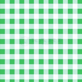 TNT ESTAMPADO XADREX VICHY VERDE