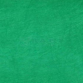 TNT VERDE BANDEIRA