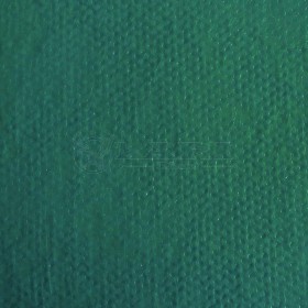 TNT VERDE MUSGO
