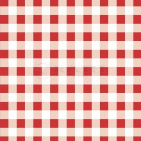 TNT ESTAMPADO XADREX VICHY VERMELHO