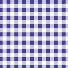 TNT ESTAMPADO XADREX VICHY AZUL