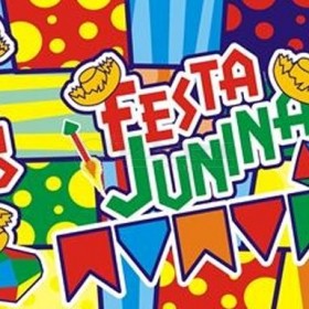 TNT ESTAMPADO BANDEIRAS FESTA JUNINA
